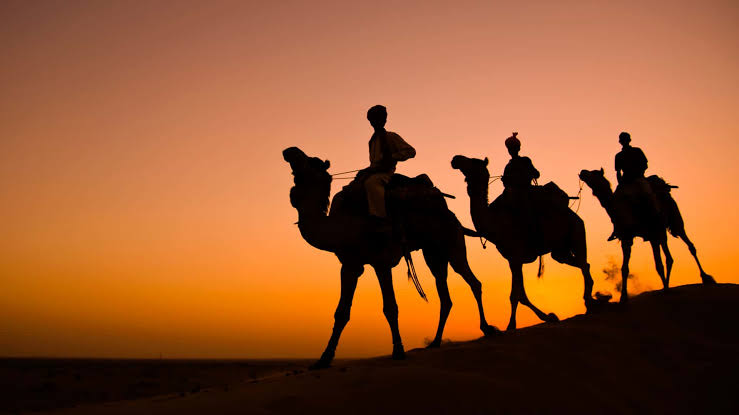 Jodhpur Camel Safari